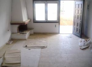 Διαμέρισμα_Κασσάνδρα_3313174
