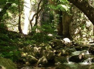 Αγροτεμάχιο_Αριδαία_5095183