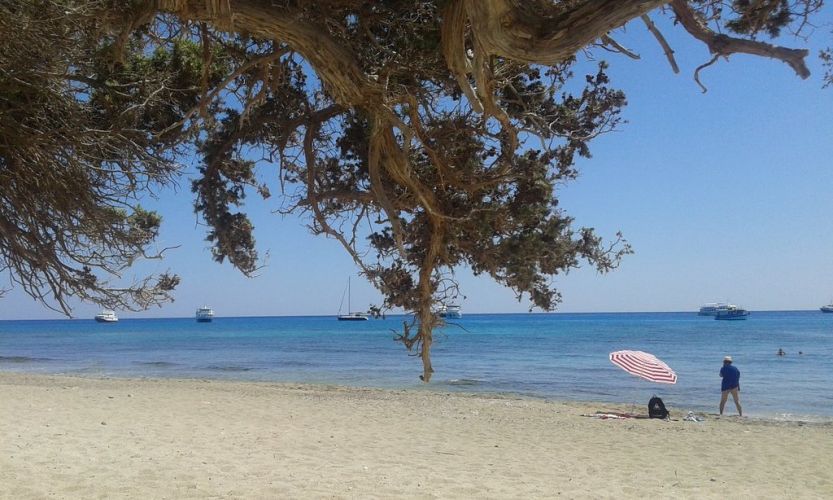 Real Estate CRETALINE, Ierapetra (Lasithi Prefecture).